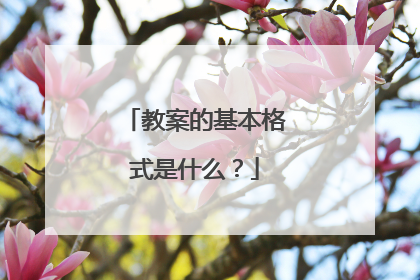 教案的基本格式是什么？