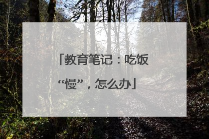 教育笔记：吃饭“慢”，怎么办