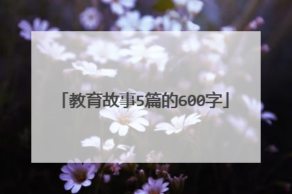 教育故事5篇的600字
