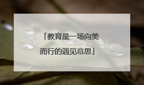 教育是一场向美而行的遇见意思