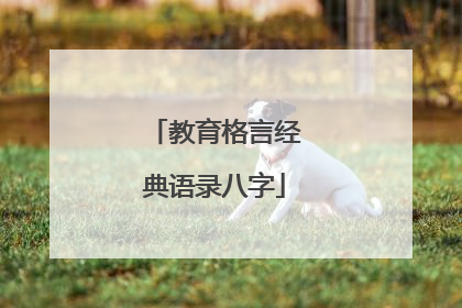 教育格言经典语录八字