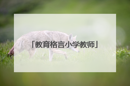 教育格言小学教师