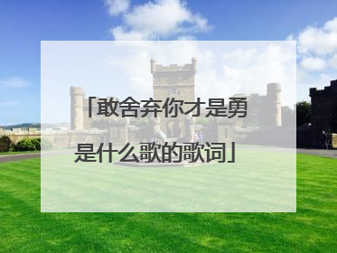 敢舍弃你才是勇是什么歌的歌词