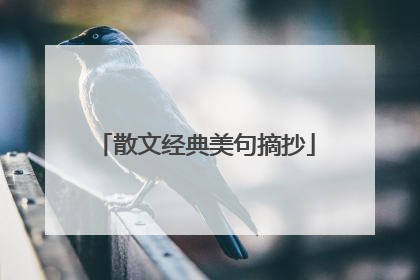 散文经典美句摘抄