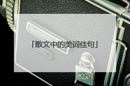 散文中的美词佳句
