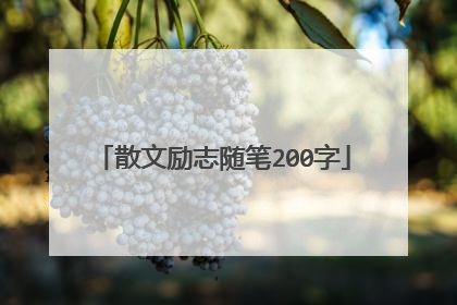 散文励志随笔200字