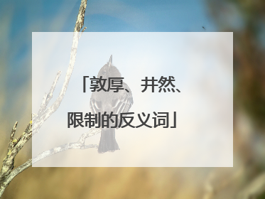 敦厚、井然、限制的反义词