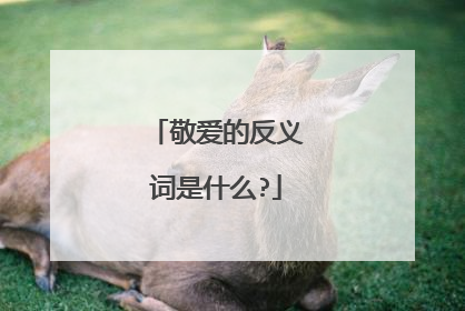 敬爱的反义词是什么?