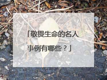 敬畏生命的名人事例有哪些?