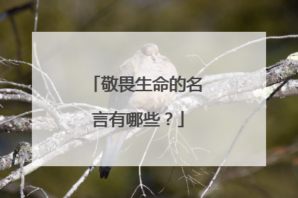 敬畏生命的名言有哪些?