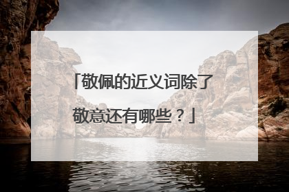 敬佩的近义词除了敬意还有哪些?