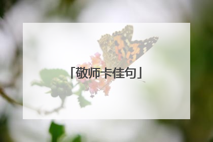 敬师卡佳句