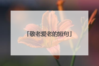 敬老爱老的短句