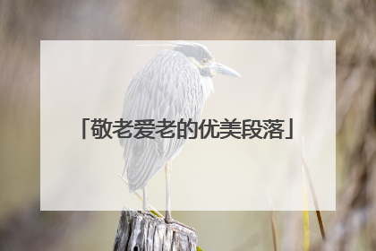 敬老爱老的优美段落