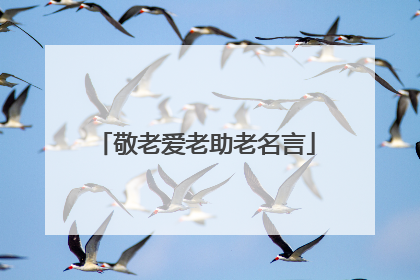 敬老爱老助老名言