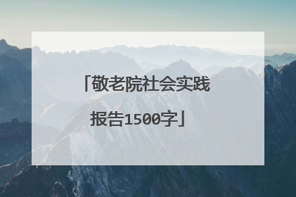 敬老院社会实践报告1500字