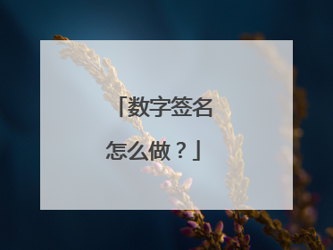 数字签名怎么做?