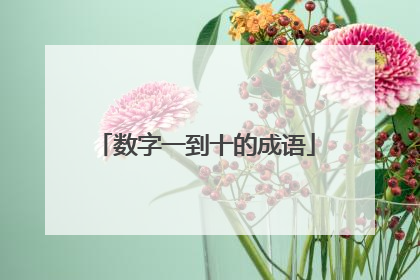 数字一到十的成语