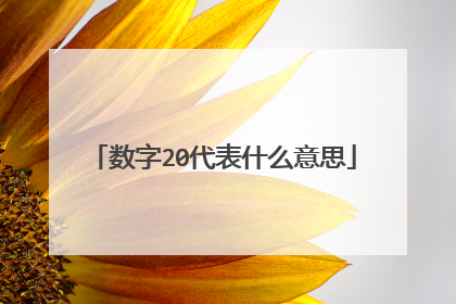 数字20代表什么意思