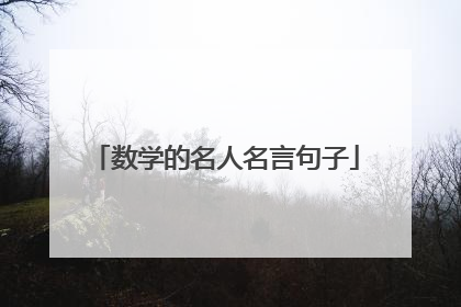 数学的名人名言句子