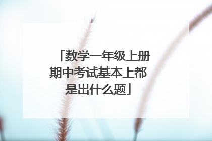 数学一年级上册期中考试基本上都是出什么题
