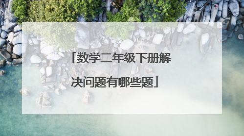 数学二年级下册解决问题有哪些题