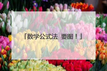 数学公式法 要图!