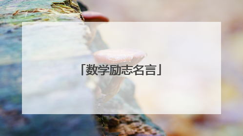 数学励志名言