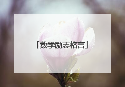 数学励志格言