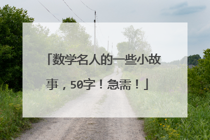 数学名人的一些小故事,50字!急需!