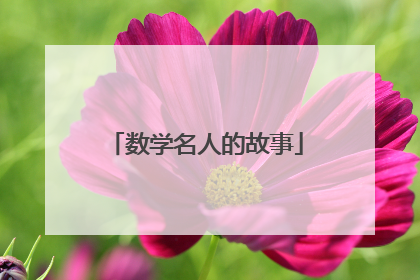 数学名人的故事