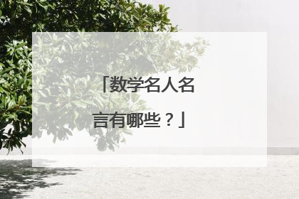 数学名人名言有哪些?