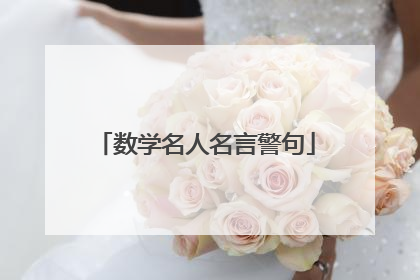 数学名人名言警句