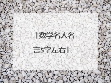 数学名人名言5字左右