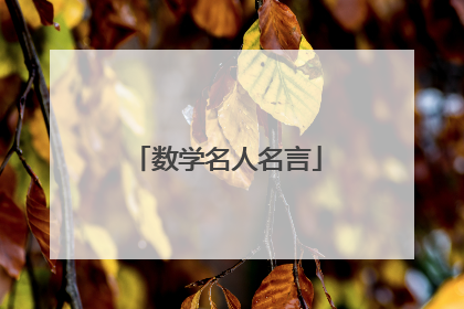 数学名人名言