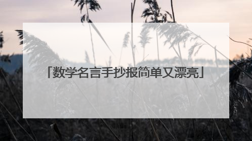 数学名言手抄报简单又漂亮