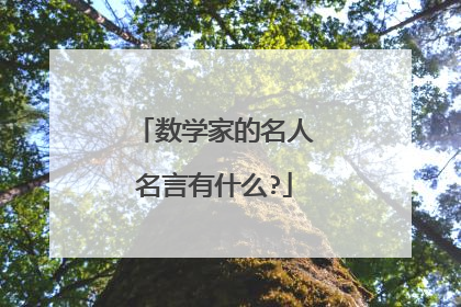 数学家的名人名言有什么?