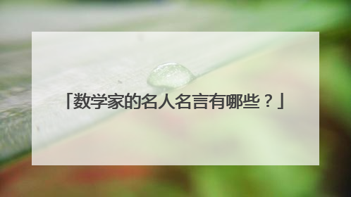 数学家的名人名言有哪些？