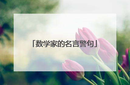 数学家的名言警句