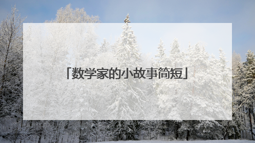 数学家的小故事简短