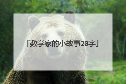 数学家的小故事20字