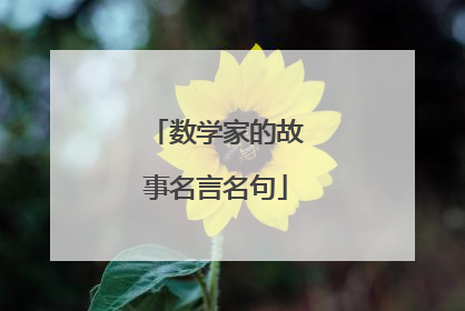 数学家的故事名言名句