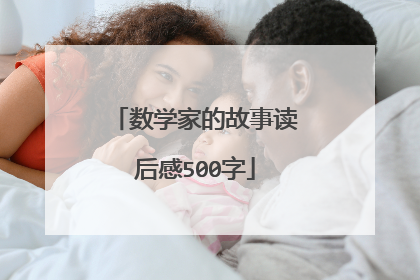 数学家的故事读后感500字