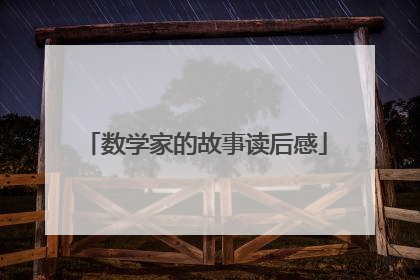 数学家的故事读后感