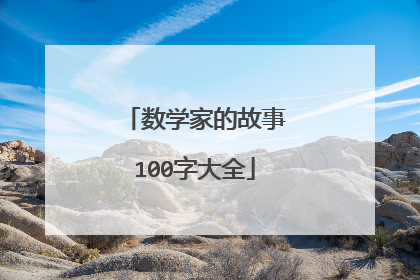 数学家的故事100字大全