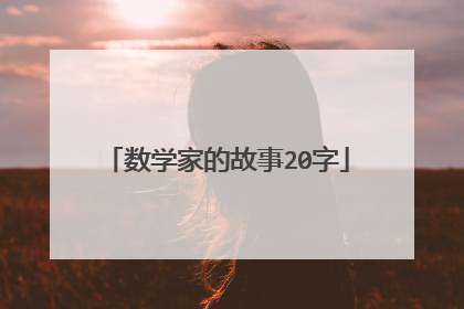 数学家的故事20字