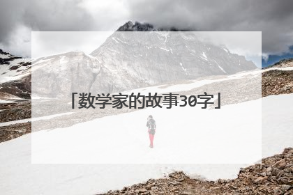 数学家的故事30字