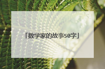 数学家的故事50字