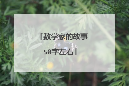 数学家的故事50字左右