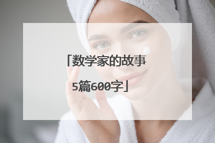 数学家的故事5篇600字